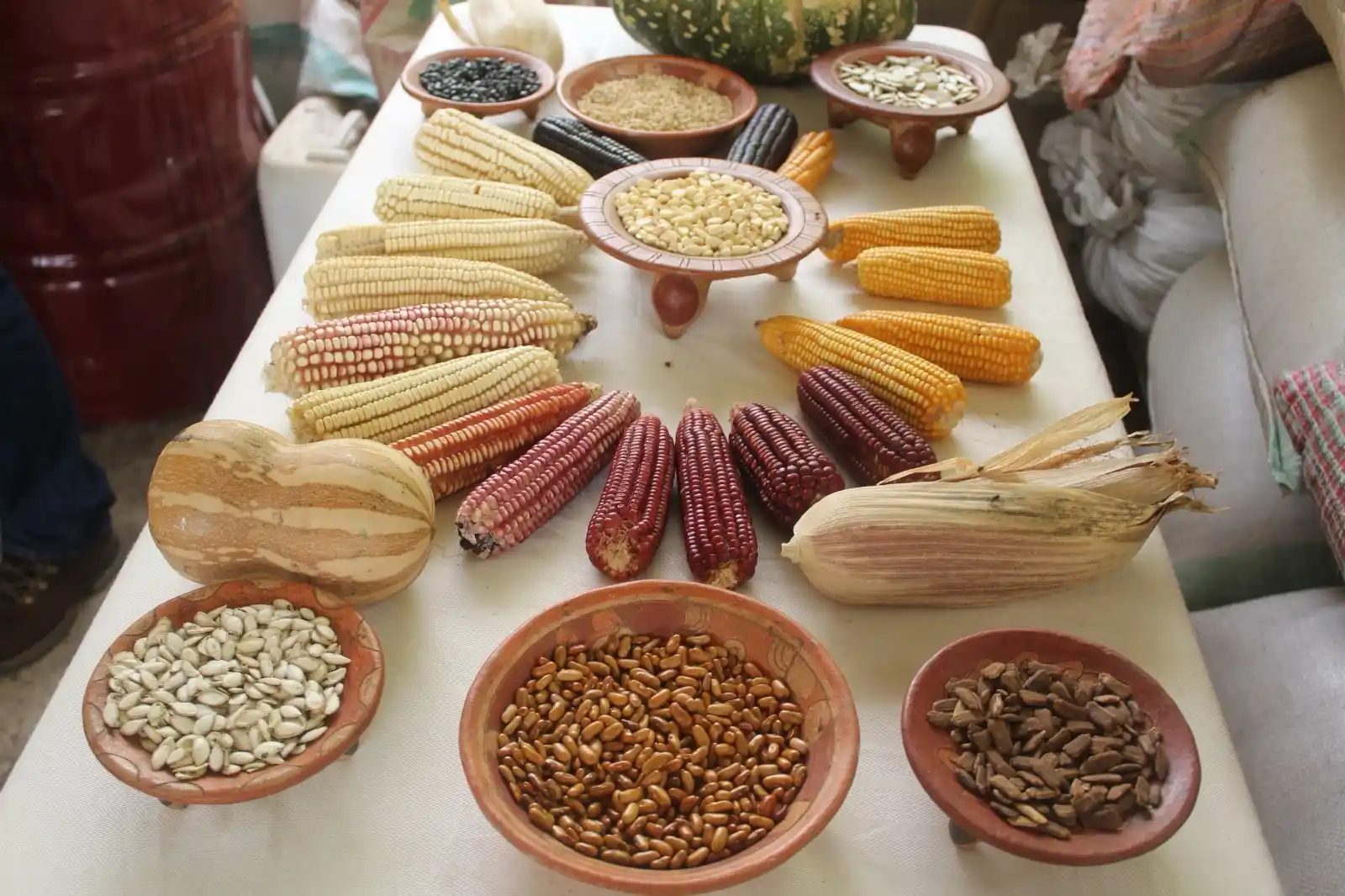 🌍 Día Mundial de la Alimentación 🌾